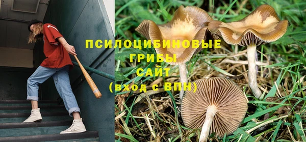 твердый Михайлов