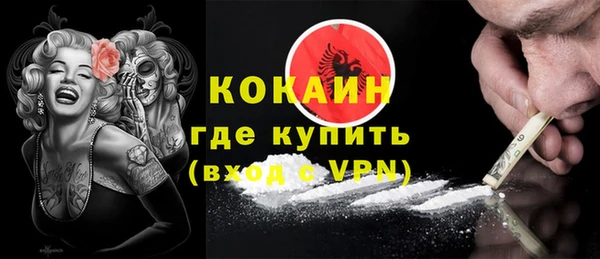 твердый Михайлов