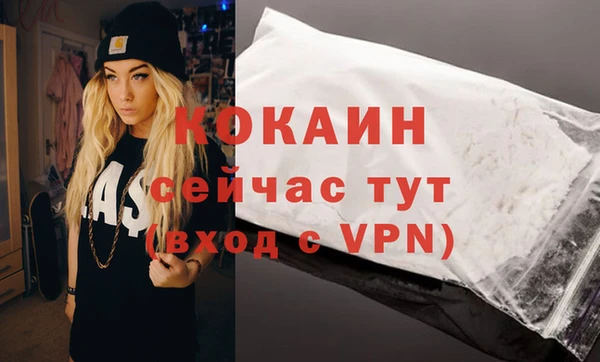 твердый Михайлов