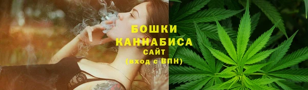 твердый Михайлов