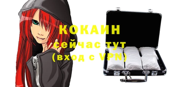 твердый Михайлов