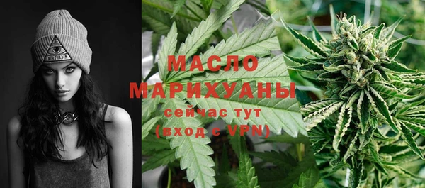 твердый Михайлов