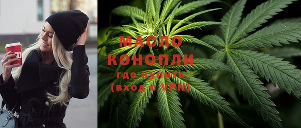 твердый Михайлов